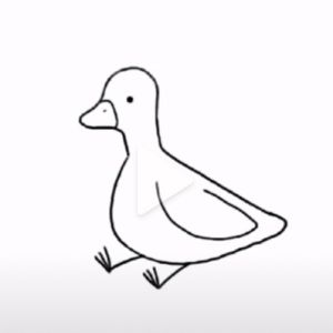 Meet your Posher, Jade